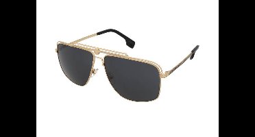 Zonnebrillen Versace VE2242 100287