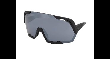 Zonnebrillen Alpina Rocket Bold All Black Matt