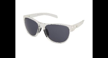Zonnebrillen Alpina Nacan II Transparent Gloss/Black