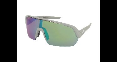 Zonnebrillen Alpina Turbo HR Smoke Grey Matt