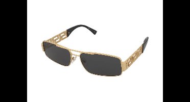 Zonnebrillen Versace VE2257 100287
