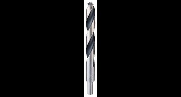Bosch Accessories 2608577314 2608577314 HSS Metaal-spiraalboor 19 mm Gezamenlijke lengte 198 mm Gebruineerd DIN 338 Cilinderschacht 1 stuk(s)