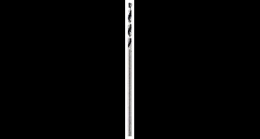 Bosch Accessories 2608577178 2608577178 HSS Metaal-spiraalboor 1 mm Gezamenlijke lengte 34 mm Gebruineerd DIN 338 Cilinderschacht 10 stuk(s)