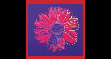 Kunstdruk Andy Warhol - Daisy 1982 90x90cm