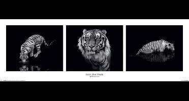Poster Marina Cano - Into the Dark 91,5x30,5cm