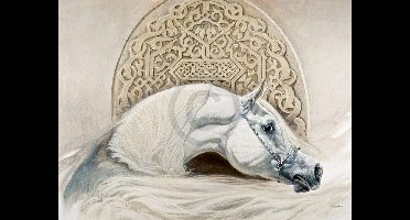 Kunstdruk Renato Casaro - Arabian Pride 80x60cm
