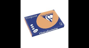 Clairefontaine Trophée Pastel, gekleurd papier, A3, 120 g, 250 vel, mokkabruin