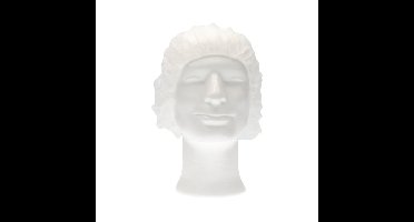 Haarnet cmt bouffant non-woven m 50cm pp wit