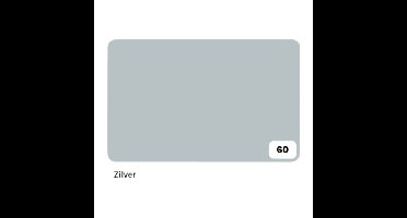 Fotokarton folia 300gr 50x70cm 60 zilver | 10 stuks