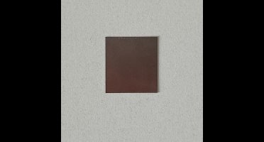 Veerplaatje 30x28mm voor in kliklijst