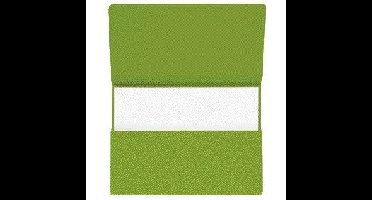 Pocketmap secolor folio recy karton 250gr gn