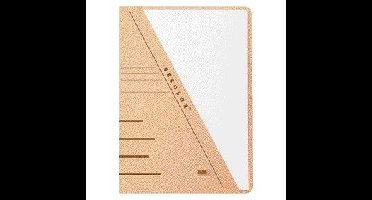 Insteekmap djois sec a4 recy 250gr chamois | 10 stuks