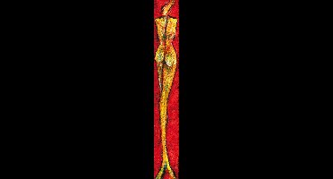 Kunstdruk Franz Ruzicka - Elektra 24x138cm