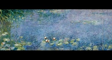 Kunstdruk Claude Monet - Seerosen I 138x51cm