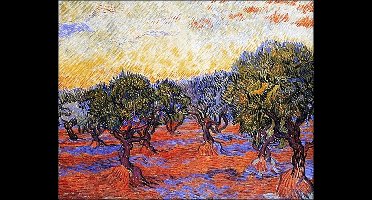 Kunstdruk Vincent Van Gogh - Uliveto 30x24cm