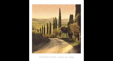 Kunstdruk Elisabeth Carmel - Country Lane, Tuscany 45x50cm