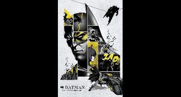 Poster Batman - 80th Anniversary 61x91,5cm