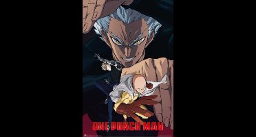 Poster One Punch Man - Garou 61x91,5cm