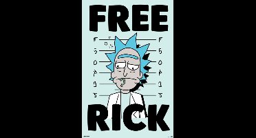 Poster Rick and Morty - Free Rick 61x91,5cm