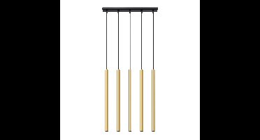 Hanglamp PASTELO 5L goud gepolijst