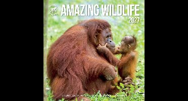 Amazing Wildlife Kalender 2027