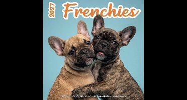 Franse Bulldog Studio Kalender 2027
