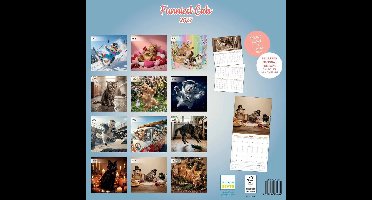 Funniest Cats Kalender 2027