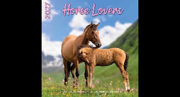 Paarden Kalender 2027