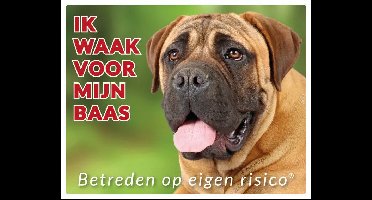 Bullmastiff Blond Waakbord