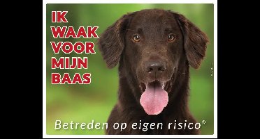 Flatcoated Retriever Waakbord
