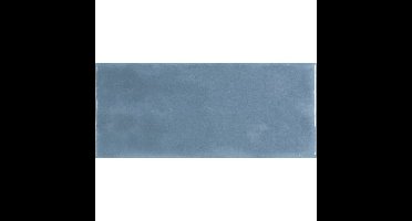 Roca Maiolica FBXT3HDBS1 Wandtegel 110X250 Blue Steel 7mm Glans