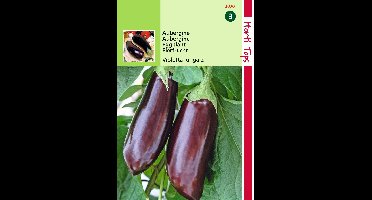 Zaden Aubergine Violetta lunga 2 Hortitops - Hortitops