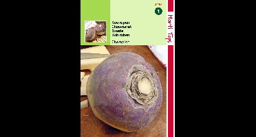 Zaden Koolraap Champion (Engelse Gele Roodkop) Hortitops - Hortitops