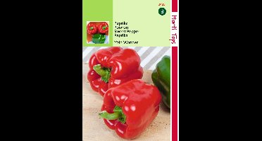 Zaden Paprika Yolo Wonder Hortitops - Hortitops
