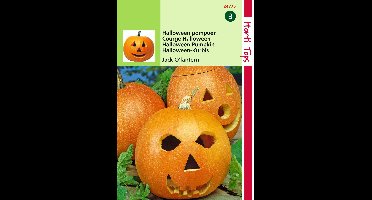Zaden Pompoen Jack O'Lantern (Cucurbita Pepo) Hortitops - Hortitops