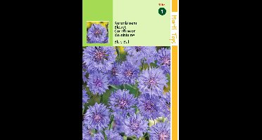 Zaden Centaurea Korenbloem Blue Ball Hortitops - Hortitops