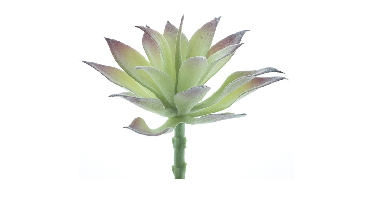 Agave pick Guanita flocked green 16 cm kunstbloem Erutan Avon - Erutan avon