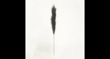 Pampas gras 130 cm Zwart kunstplant Buitengewoon de Boet - Buitengewoon de boet