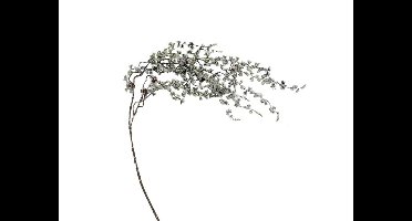 Kunst podocarpus tak groen/wit, 120 cm Buitengewoon de Boet - Buitengewoon de boet