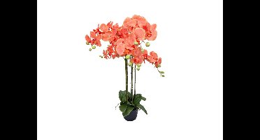 Orchidee kunstplant 6-tak 88 cm, oranje Buitengewoon de Boet - Buitengewoon de boet