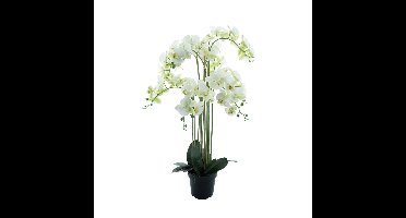 Phalaenopsis Orchidee in pot 110 cm Wit kunstplant Buitengewoon de Boet - Buitengewoon de boet