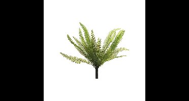 Nephrolepis Boston green 40 cm kunstplant Erutan Avon - Erutan avon
