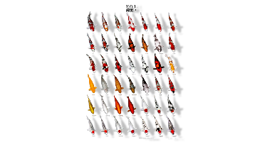 Koiposter nr.3 a4 gelamineerd Aquadistri - Aquadistri