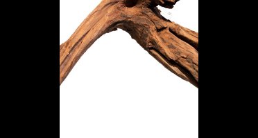 Mangrove aged wood large Aquadistri - Aquadistri