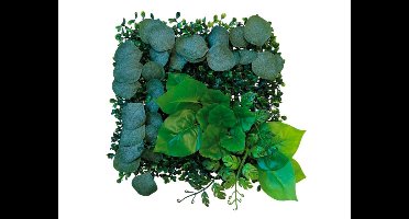 Repto Aquadistri plant achterwand mat 25x25 cm 1 Repto Aquadistri - Aquadistri