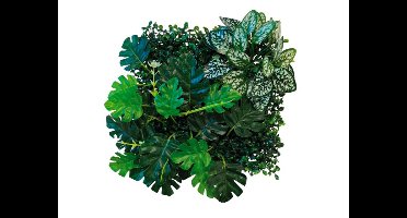 Repto Aquadistri plant achterwand mat 25x25 cm 3 Repto Aquadistri - Aquadistri