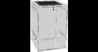 Repto terrarium clear 19,5x18,5x29 cm Aquadistri - Aquadistri