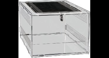 Repto terrarium clear 30x20x15,5 cm Aquadistri - Aquadistri