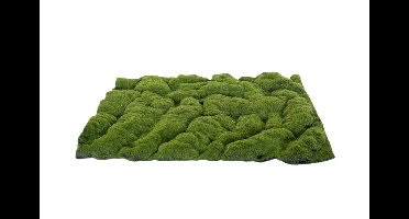 Kunst mos mat groen Grof 70X50 cm kerst My Village - My village