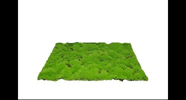 Kunstmos mat medium 70x50 cm groen My Village - My village